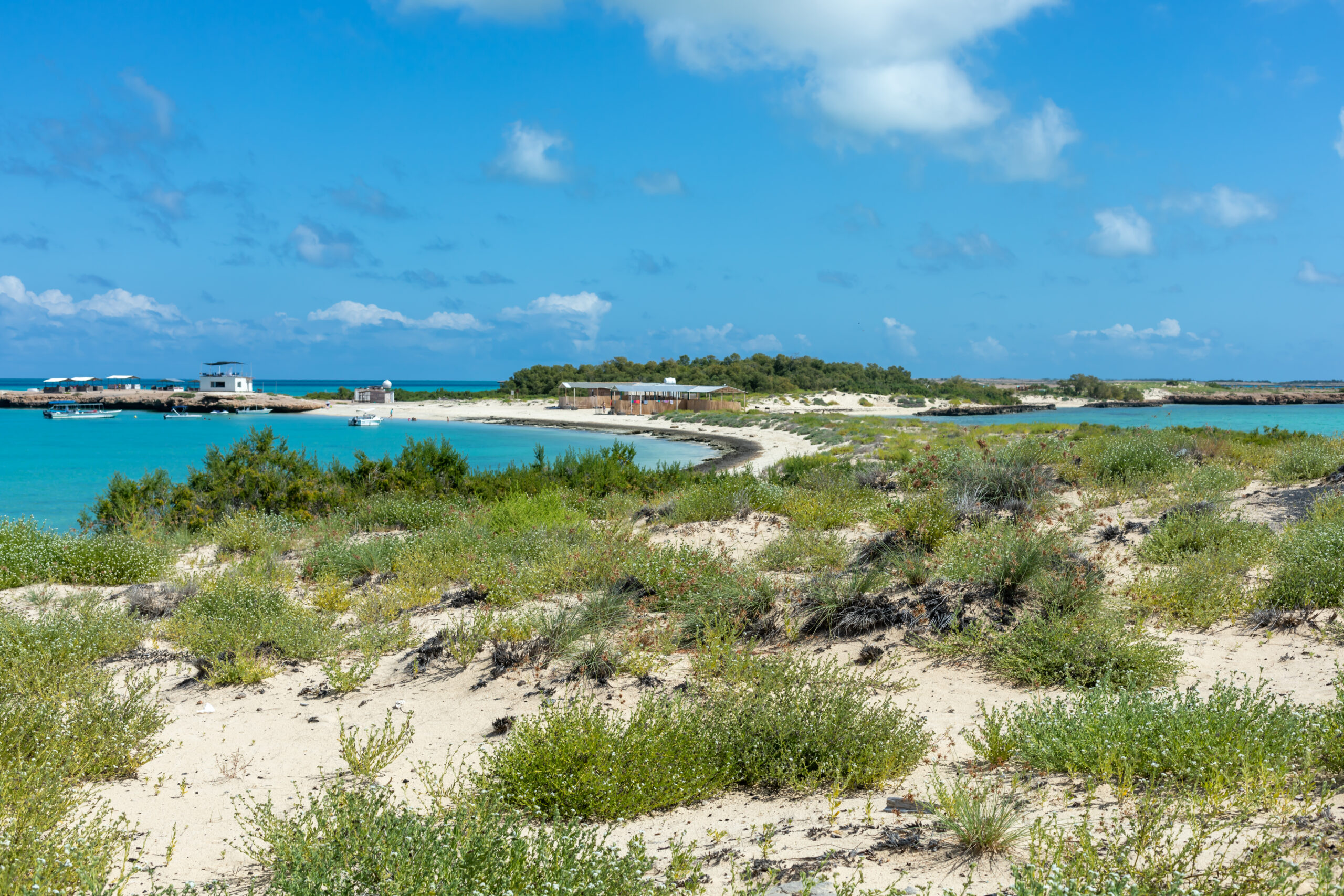 The Blue Lagoon by Camille Massida Photography